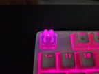 Clear Kitten Cat Paw Artisan Keycap for mechanical keyboard