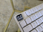 Hand-Painted Cartoon Bender Artisan Keycap for mechanical keyboard
